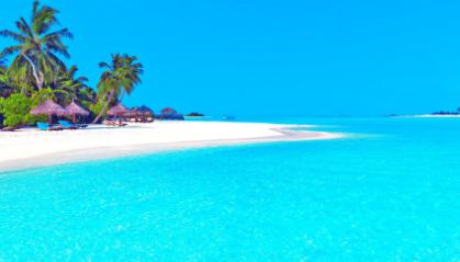 创业自媒体风向项目分析,富前程创业案例