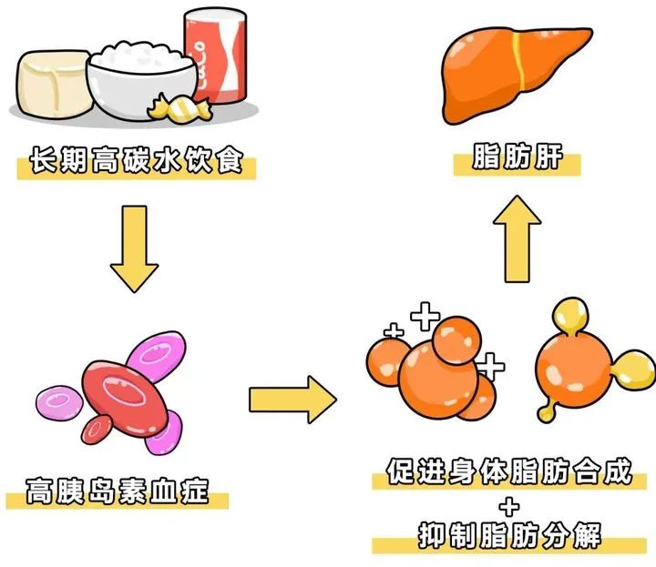 早餐减肥能喝粥吗,减肥早餐食谱教你如何科学吃早餐