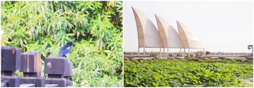 只有站在城市价值纵贯线上，你才明白什么是真正的改善