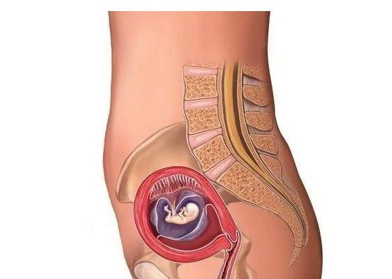 孕期发育全过程注意事项,孕期经验干货50件怀孕才知道的事