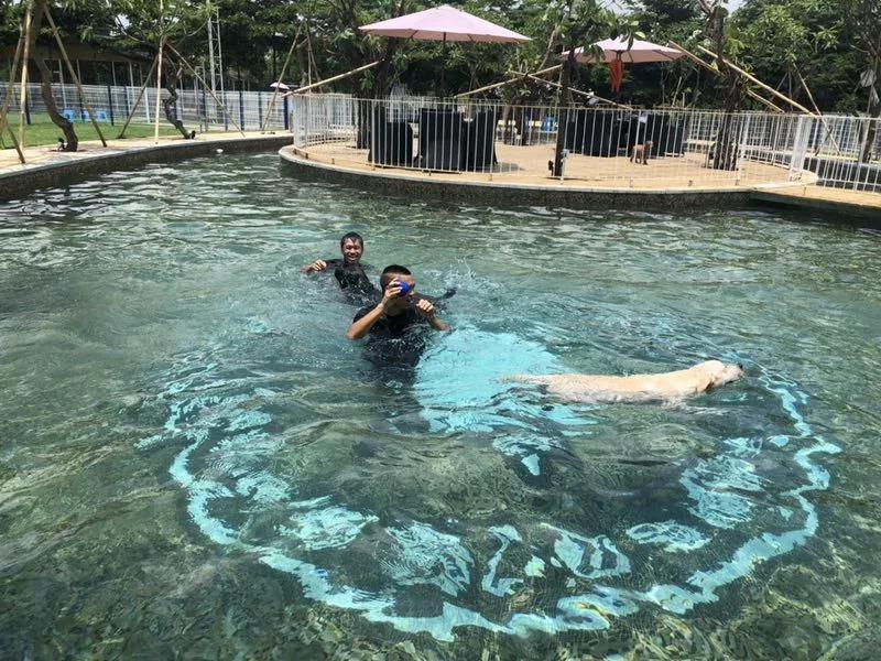 最好的宠物乐园在哪儿,19.9元宠物乐园