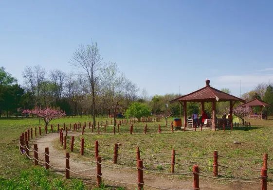 北京戒台寺郊野公园,北京燕山东岭郊野公园