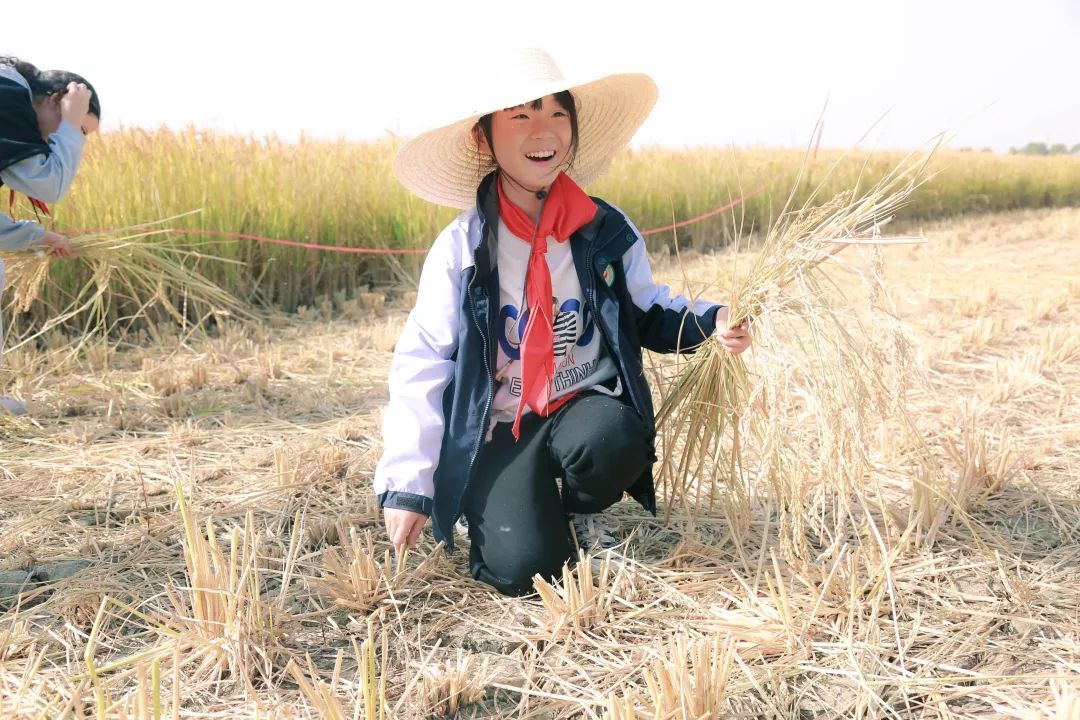 翻地、播种…无锡老小将课堂搬到了田间地头