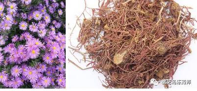 中药饮片独角牛别名,中药饮片大芸的别名