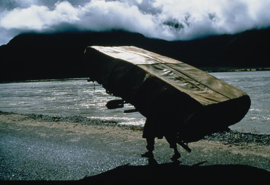 生存才是硬道理谁说的,生存才是硬道理