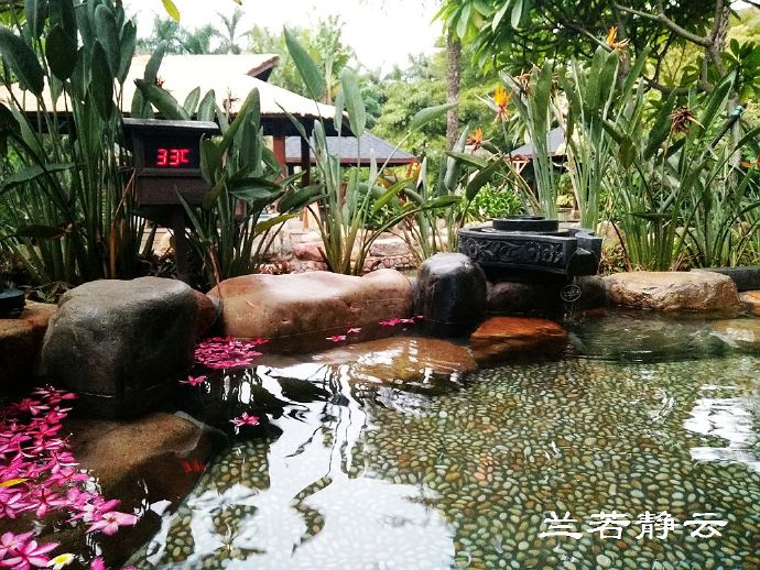 厦门日月谷温泉酒店预订价格,厦门日月谷温泉酒店套餐