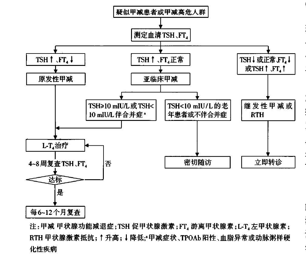 提升基层超声诊断水平,提高甲状腺功能的最好方法