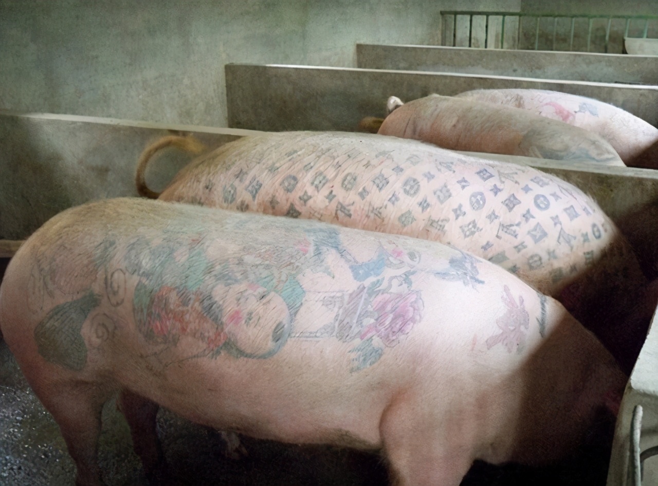 香奈儿猪皮纹身包价格,男子在富贵包上纹香奈儿