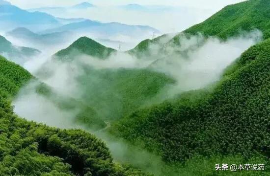 鼻腔外用药膏正确涂抹,鼻子外用药有哪些