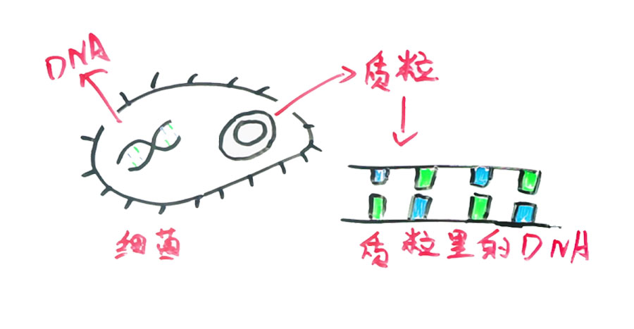 如果基因被破解会有什么后果,人类基因被破解的危害