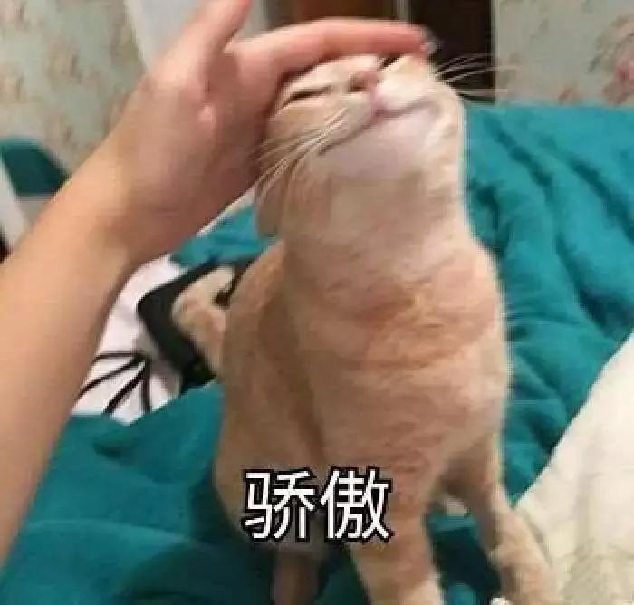 ios捷径播放位置,ios捷径游戏