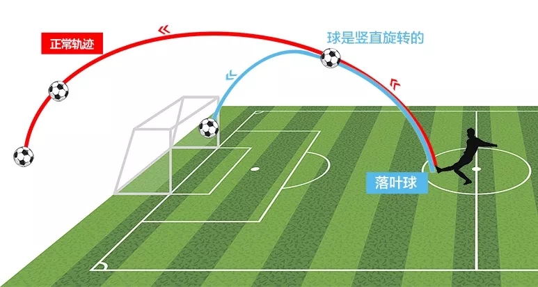 C罗绝技落叶球、电梯球如何炼成？谈落叶球、电梯球、香蕉球区别