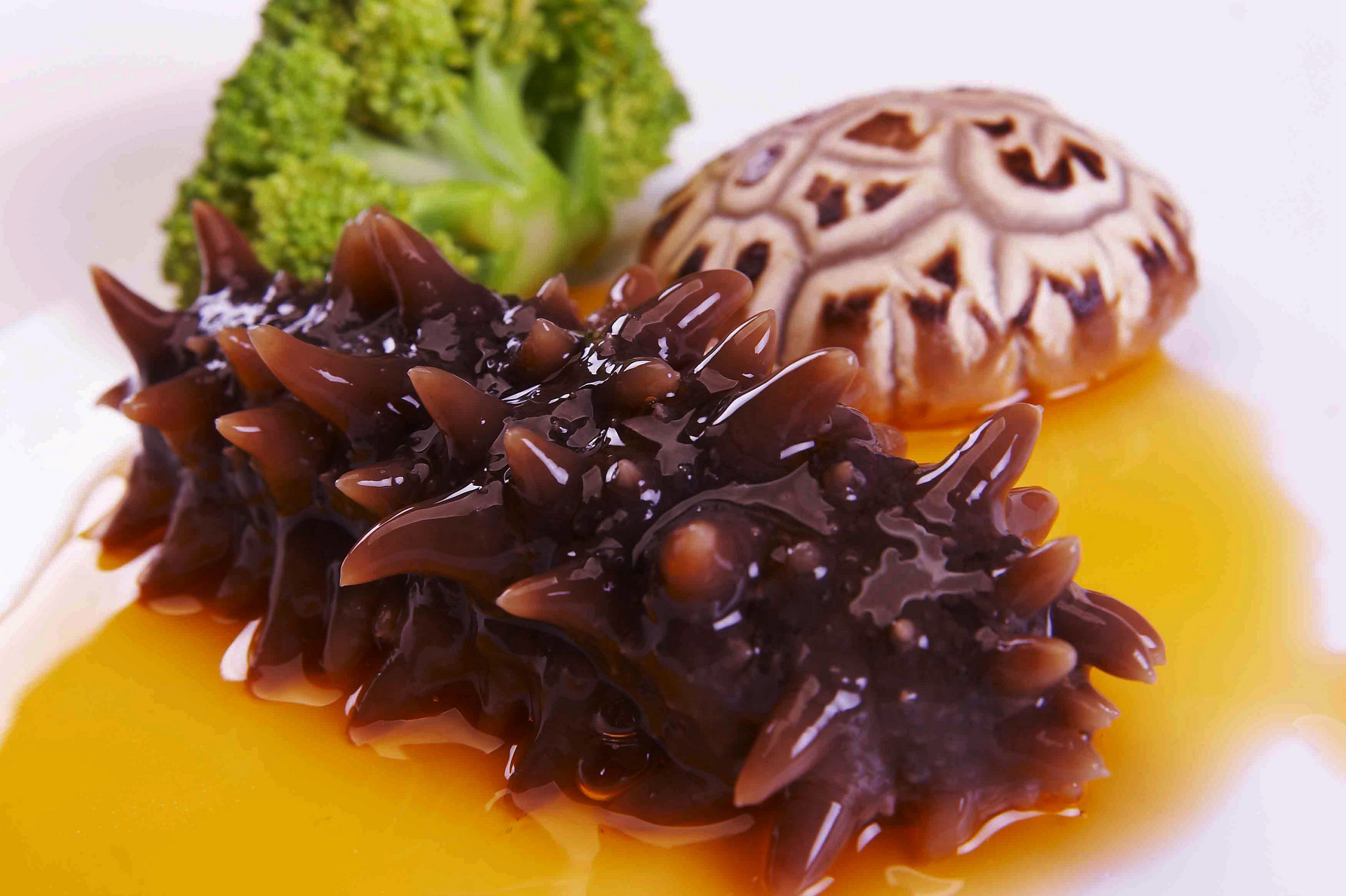 中国辽宁省各地旅游景点简介,辽宁省旅游概况