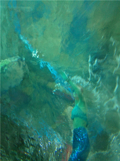 富国海底世界一日游,游富国海底世界