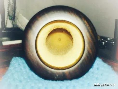 鸣虫葫芦防虫技巧,鸣虫葫芦里子如何处理