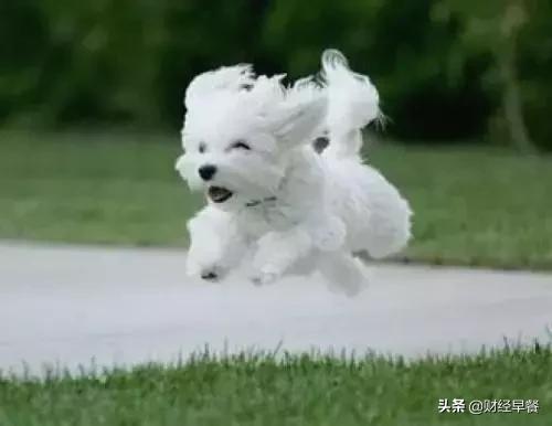 网易考拉与雅诗兰黛哪个好,考拉自营雅诗兰黛是正品吗