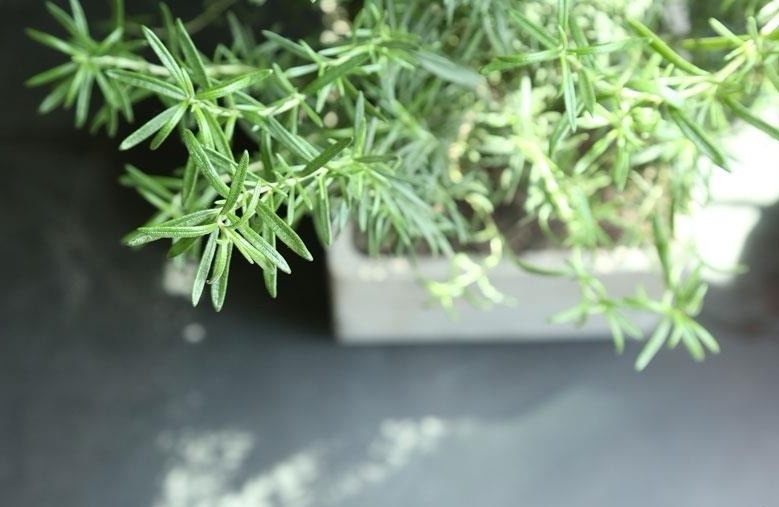 化妆品精油的功效和使用方法,化妆品的精油的作用与功效