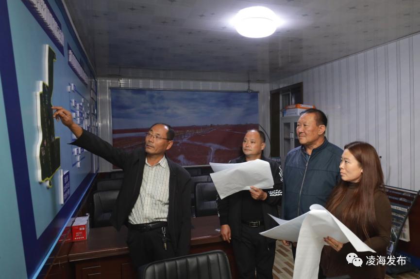 凌海市大有农场,锦州市凌海市大有农场