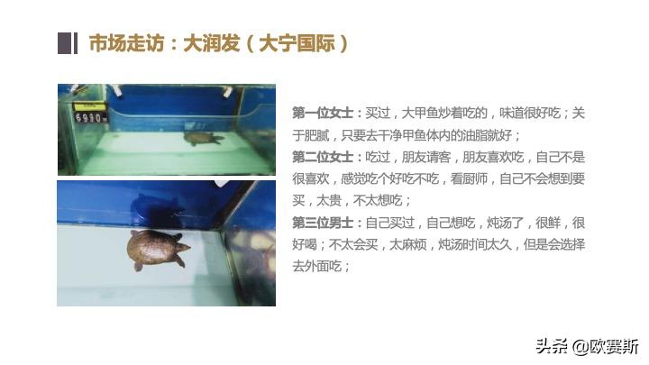 欧赛斯带你全方位洞察甲鱼市场发展趋势及竞争格局