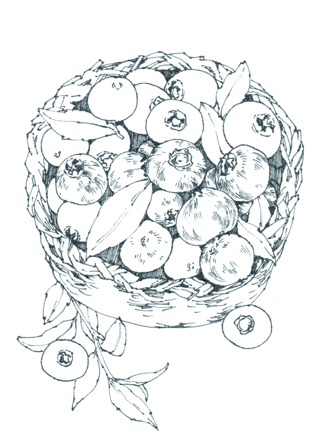 蓝莓味的章鱼小丸子,草莓章鱼小丸子口味