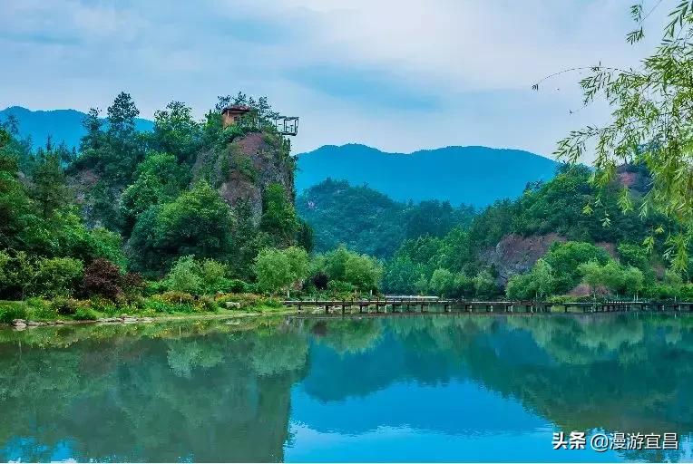 粽情端午免费,端午粽情团购