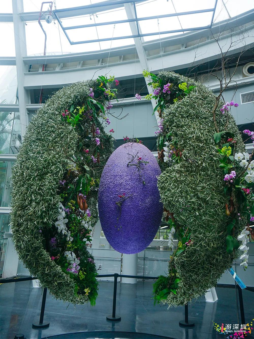 深圳花展2019年12月时间表,深圳第一场春天花展