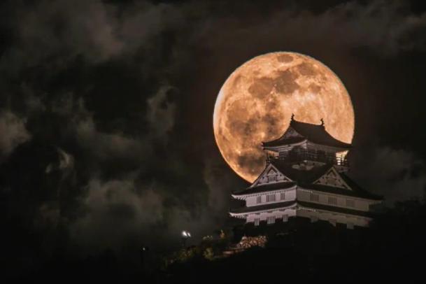 李白明月的经典诗词,李白与明月结成知己的句子