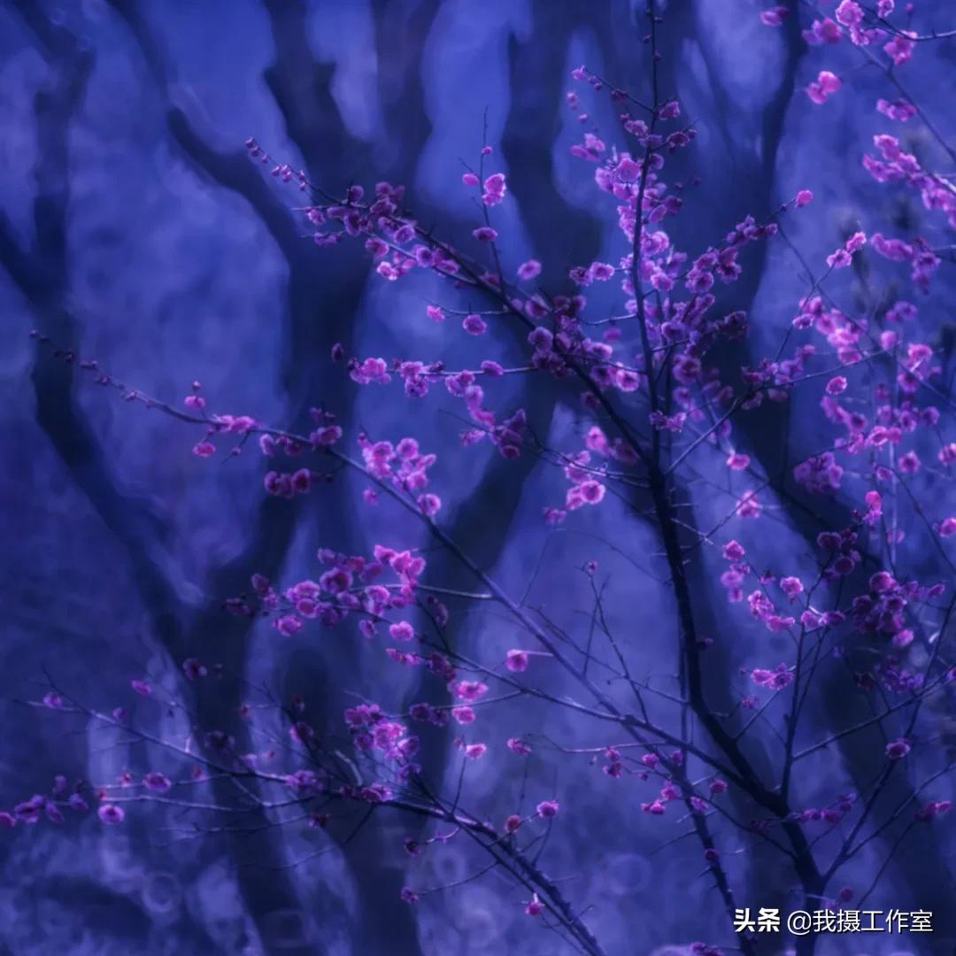 第16届国际摄影艺术展获奖作品,第29届全国摄影艺术展览作品集