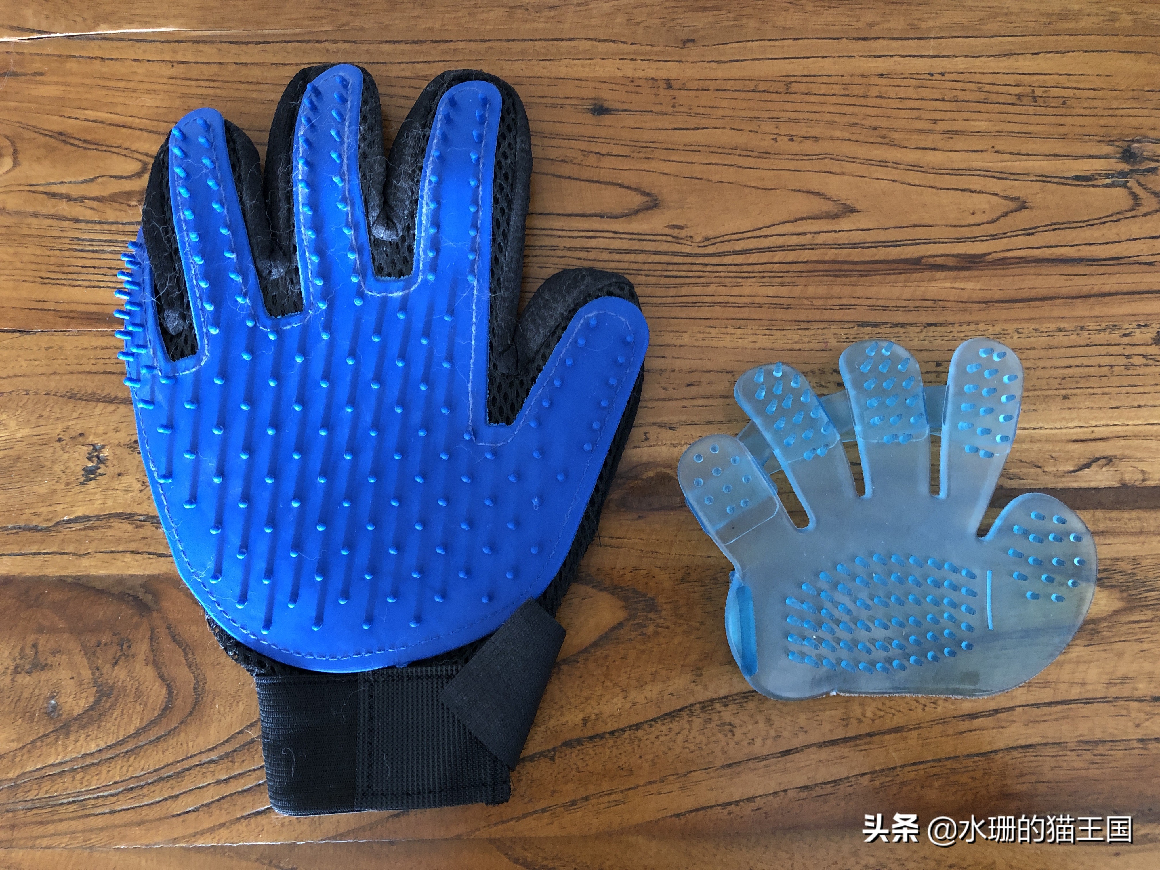 哪款梳子梳猫毛最好用,猫梳子推荐排行榜