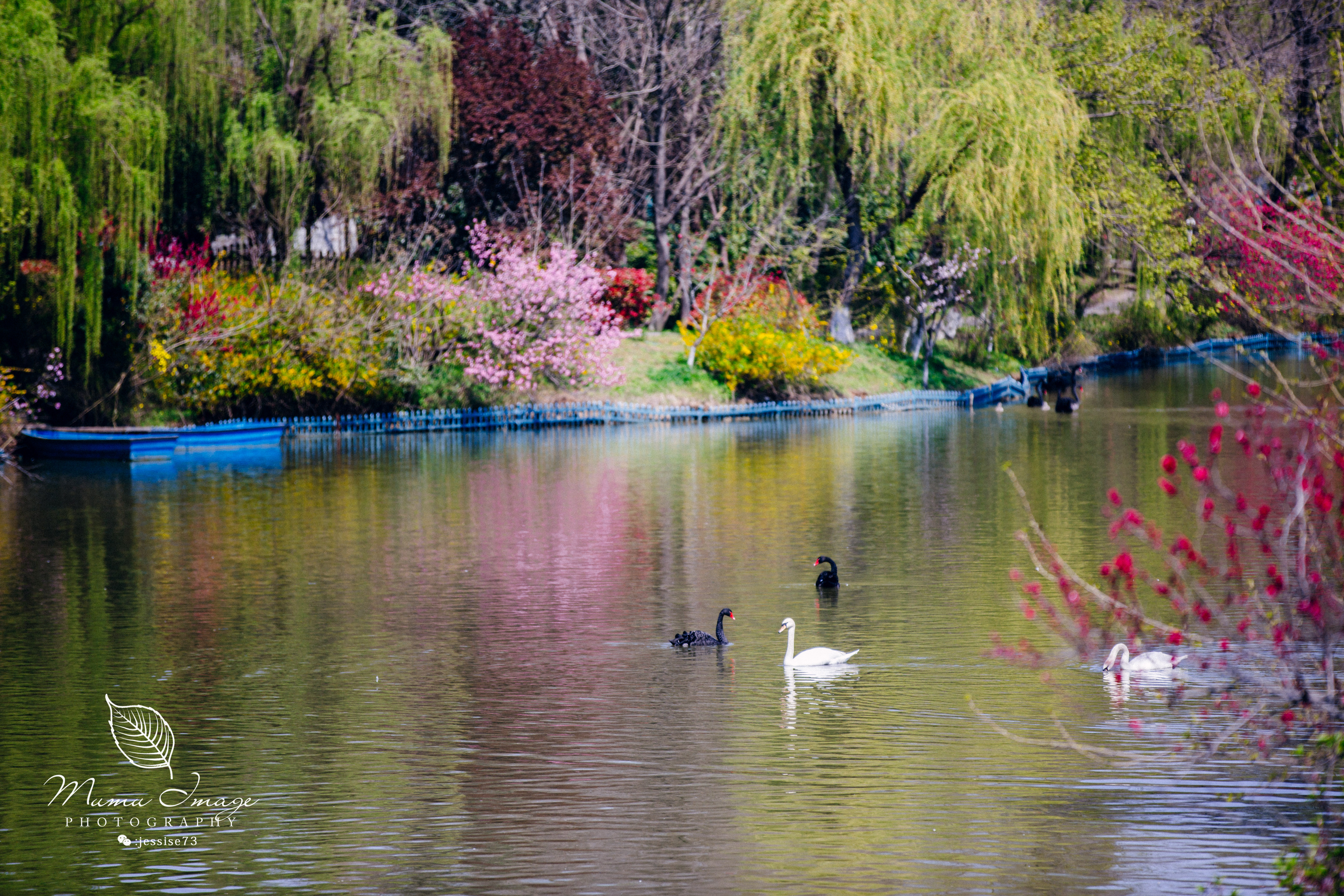 扬州是个不花钱的公园,扬州本地人最喜欢去的公园