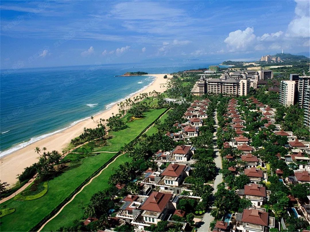 华南五虎有多厉害,华南五虎再现广东宏远