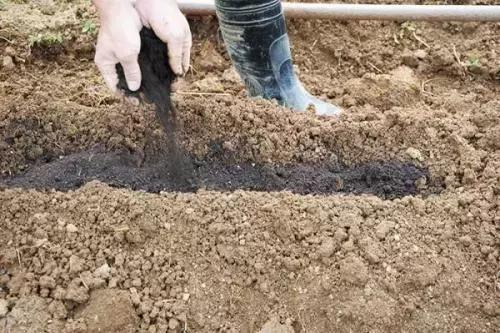 买的有机肥料为啥不溶水,为什么有的肥料很难溶