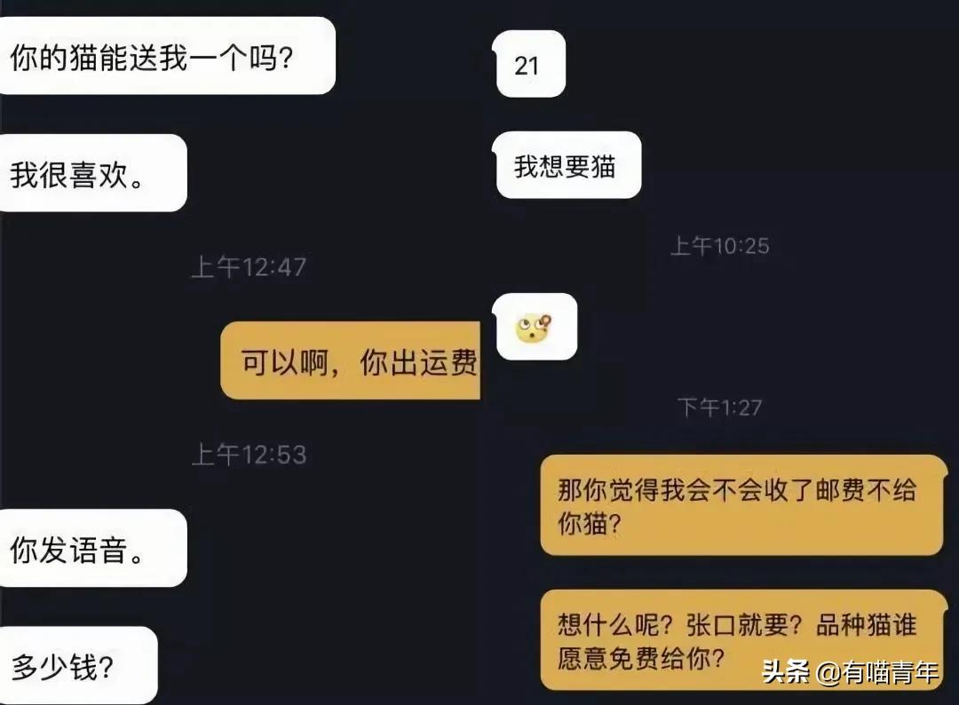 网上买的猫运回来死了,网上买猫三天送到半夜死了
