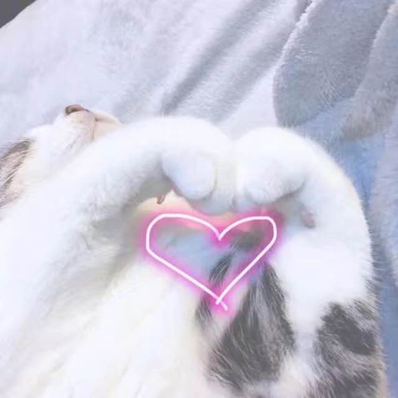 超多小样每天领取大牌小样 (怎么领大牌护肤品小样)