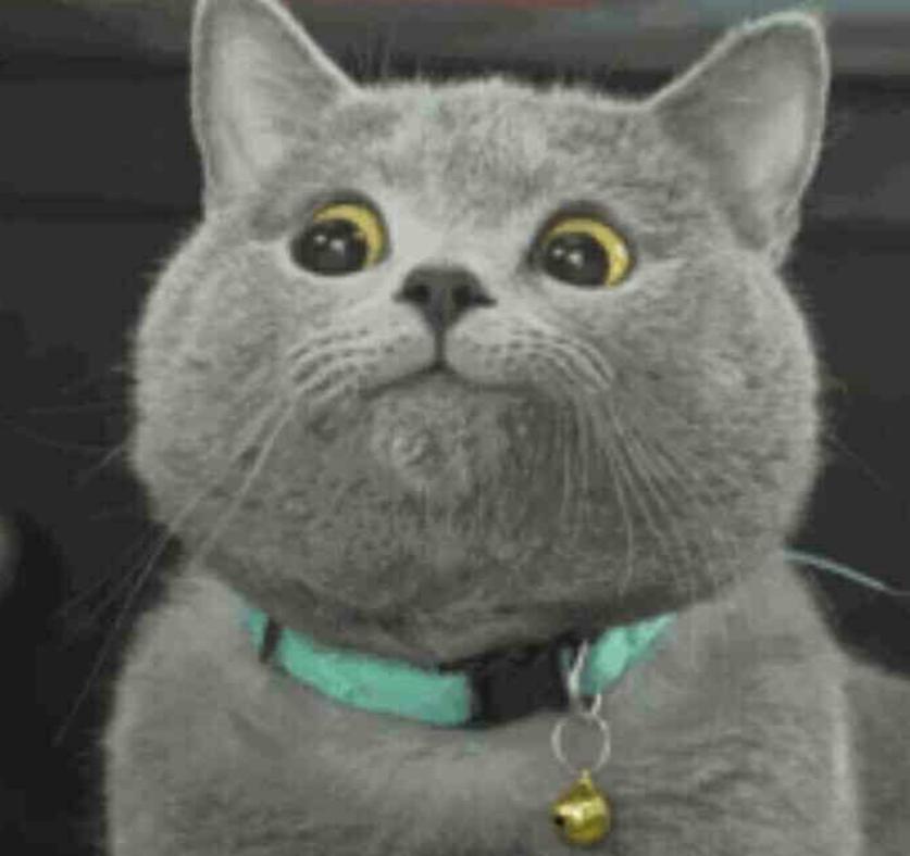 迪拜波斯地毯在哪买,迪拜的波斯地毯