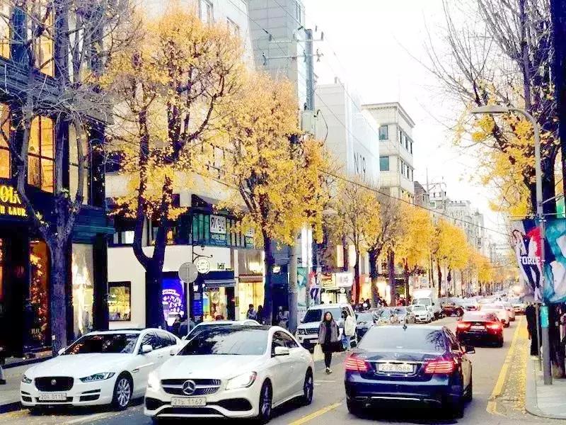 深圳这次入冬成功了吗,深圳终于进入了深秋的天气