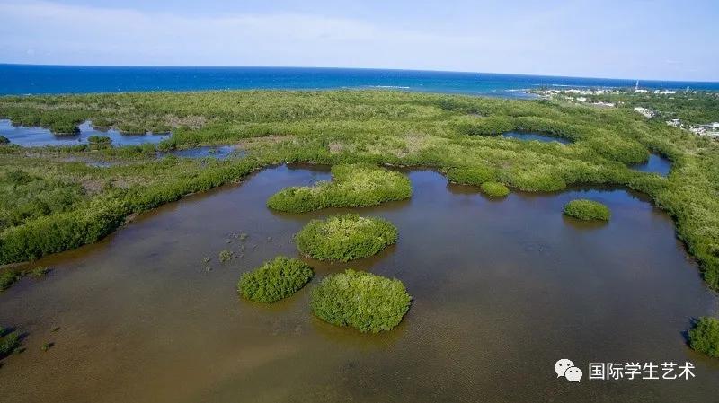 2050美国科技大赛,美国科学无国界挑战赛