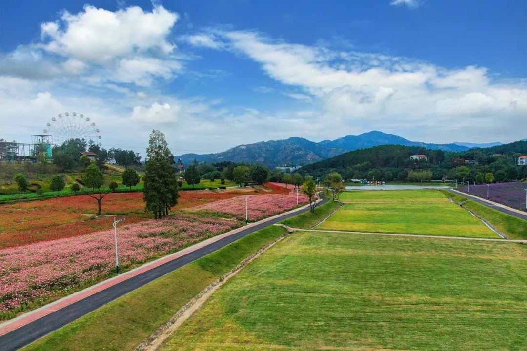 抓住春天的尾巴鸟语花香,抓住花海的尾巴