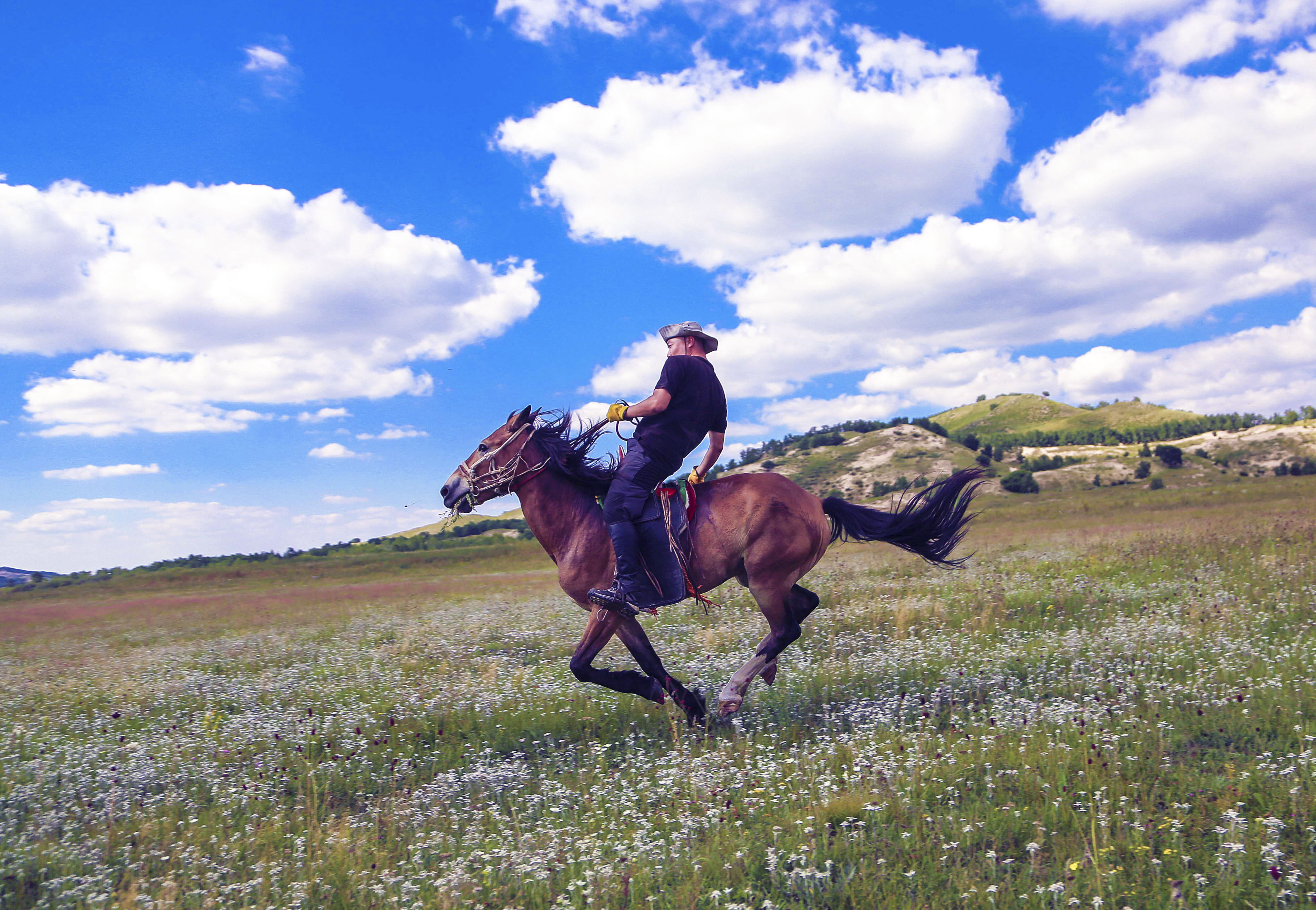 马背之旅旅游攻略,马背之旅旅游视频