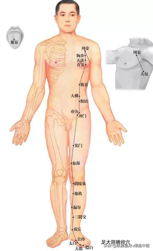 天下无疾,十二经脉流注图总结规律