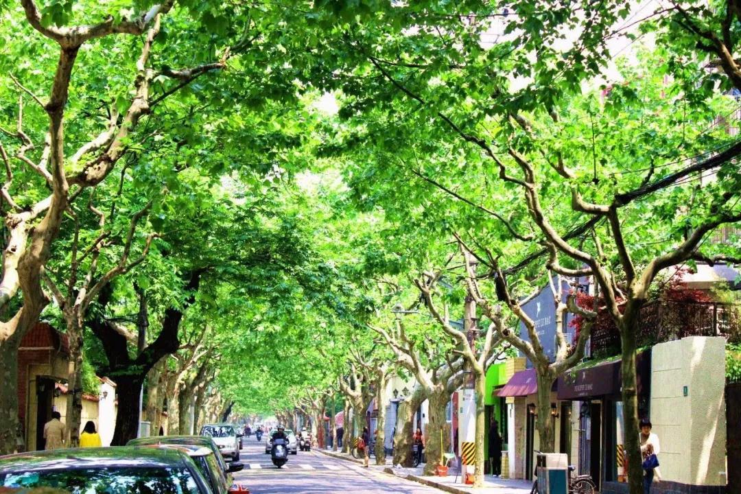 北京上海杭州南京一线城市,关于城市地域的话题