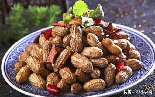 不出去打工有什么赚钱的方法,适合农村的创业行业