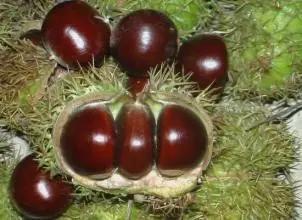 盘点北京十六区,北京哪个区最适合生活