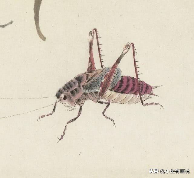 齐白石画的老虎放大10倍什么样子,齐白石为什么把老虎画成病猫