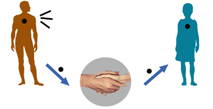 双黄连预防病毒吗,双黄连对细菌感染有用吗