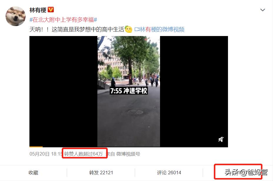 在北大上学到底有多好,在名校上学是有多快乐