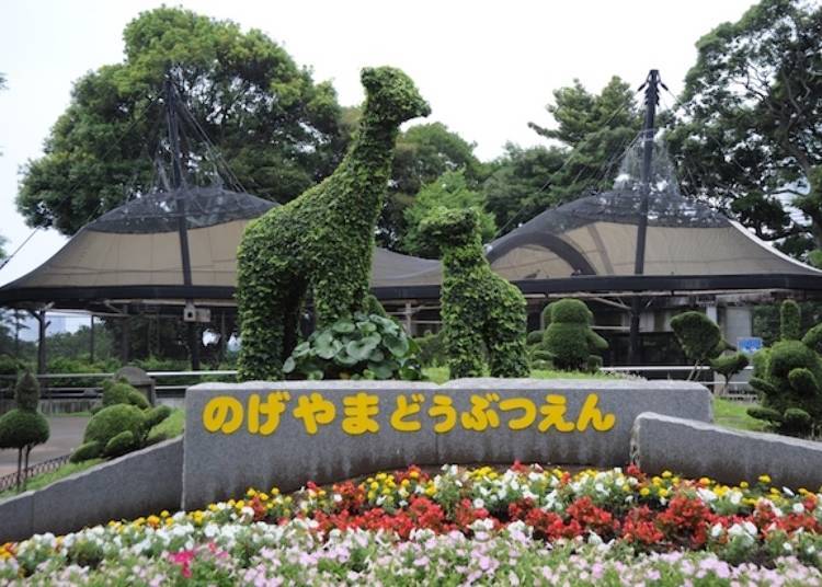 横滨二日游旅游攻略最新,横滨旅游景点攻略一日游