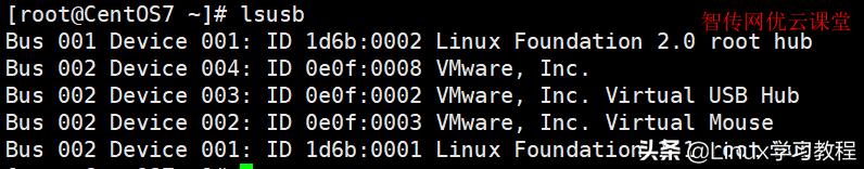 Linux强大的ls命令家庭，你全部都用过了吗？