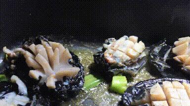 十年前，我只带了一根鱼竿出门，吃遍了世界上的各种顶级海鲜