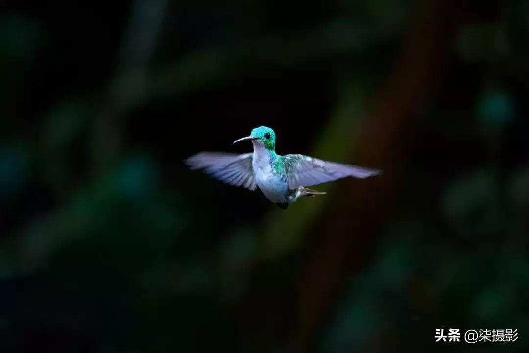 聚焦区域和自动对焦模式的选择,6d对焦模式和对焦区域